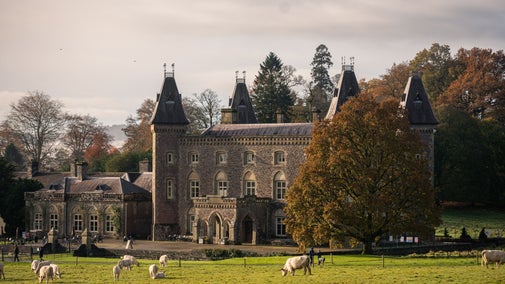 Y fynedfa flaen a’r dreif yn Nhŷ Newton, Dinefwr
